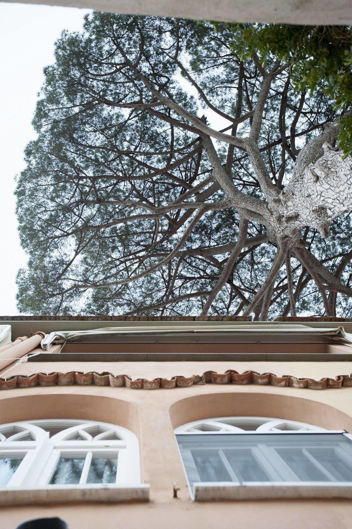 La Casa Di Carla Apartment Ravello Bagian luar foto